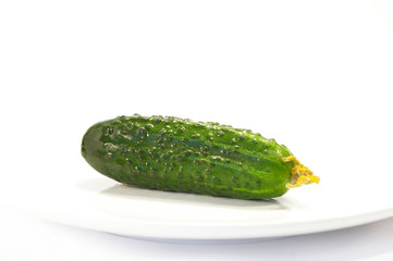 Ripe cucumber