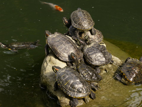 overbooking-3