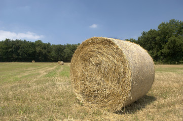 balle di fieno