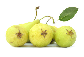 Pears yellow with leaf