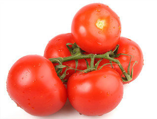 tomatoes