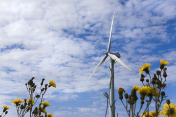 Paysage d'éolienne