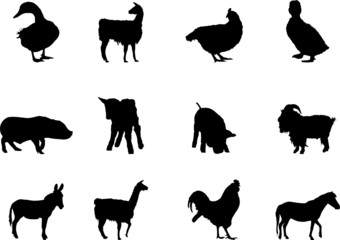 Animals. Set of 12 round vector buttons for web
