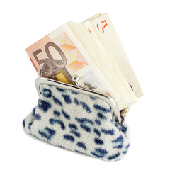 Banknotes in purse