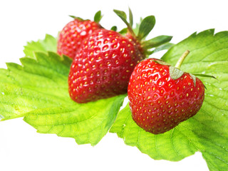 Fresh and tasty strawberries isolated on white background