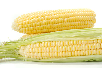 corn