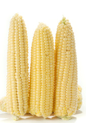 corn