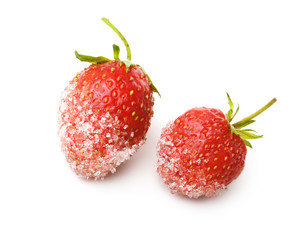 Fresh strawberry isolated on white
