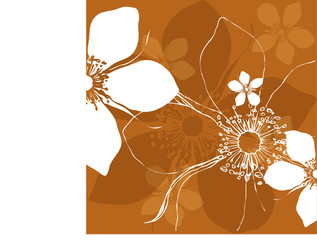 Vektor Blüten Design mit weißen Blumen auf braun