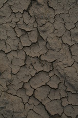 sécheresse