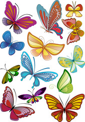 different colored butterflies - vector