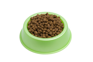 Pet Food Bowl Isolated White on Background