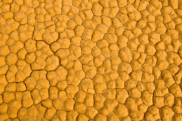 Texture of cracked soil, Death Valley, California