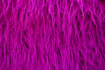 purple fur