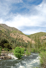 Fototapeta na wymiar Fast mountain river, California, USA