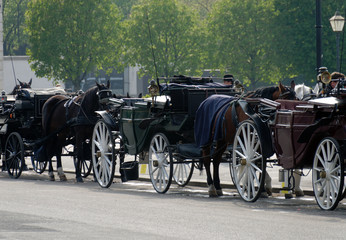 Fototapeta premium CALECHES IN VIENNA (AUSTRIA)