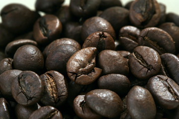Coffee beans