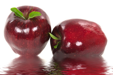 Organic Apples