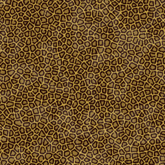 Seamless Leopard Skin Background