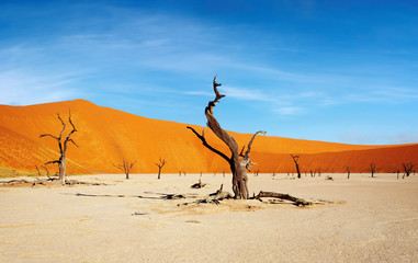 Namib Desert, Sossusvlei, Namibia