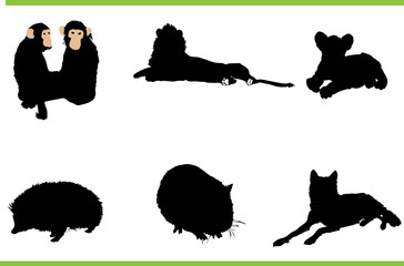 Vector animals collection