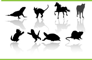 Vector animals collection