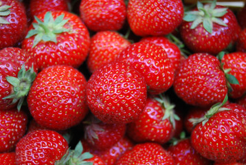 A lot of strawberrys