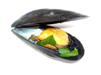 moules