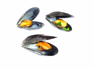 moules