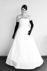 Fototapeta premium Studio Shot