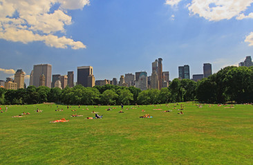 The Great Lawn in Central Park