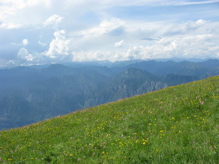 Bergwiese am Monte Baldo