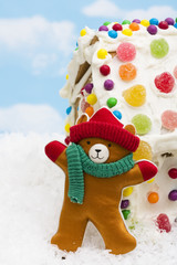 Winter Teddy Bear