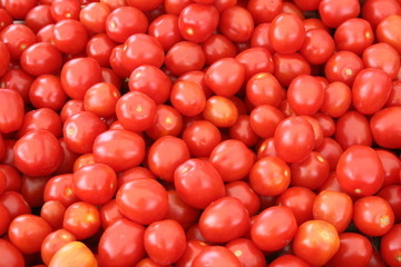 Tomatoes