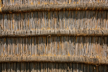 Reed wall background