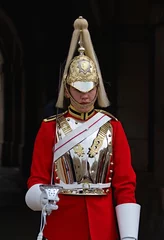 Dekokissen Horse Guards © mieszko