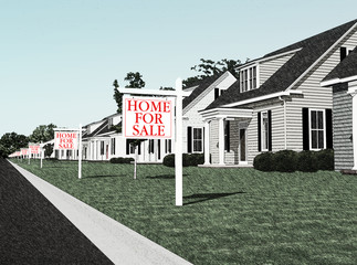 Mortgage Industry Collapse