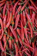 epices piments