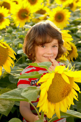 Kind zwischen Sonnenblumen niedlich