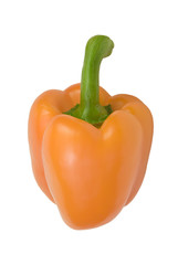 orange pepper on white background