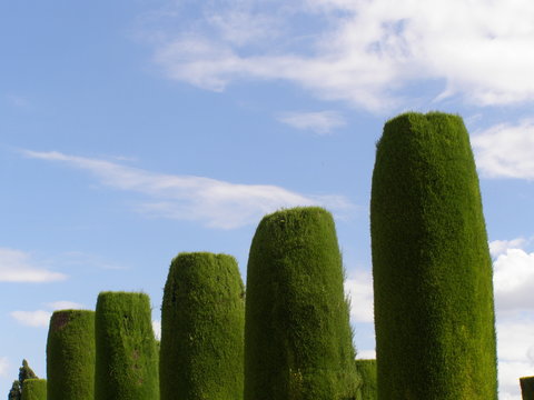 Jardin Vertical