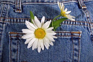 Forever In Blue Jeans