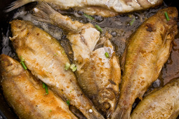 fried fish