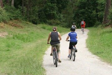 balade en forêt à vélo