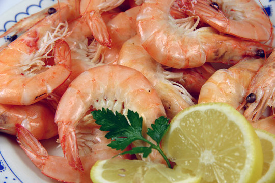 Gambas cocidas