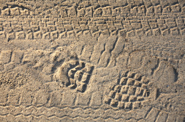 Traces on sand