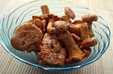 Pfifferlinge