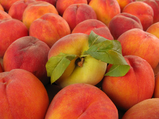Peaches with leaves