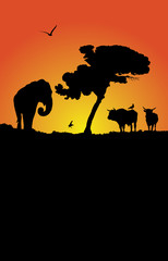 african sunset, vector illustration