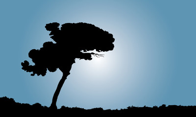 solitary tree at sunrise, vector illustration